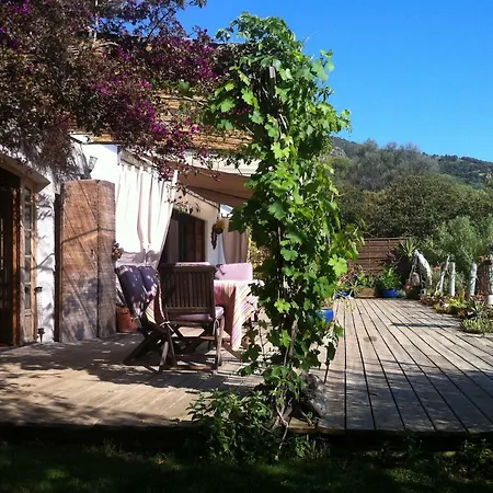 Villa Corse Du Sud Bord De Mer Cargese